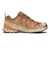 L47987800　XA PRO 3D V9 GTX W　Pecan Brown/Nec　709091-0001