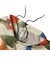 225-003002　FREE MOTION 5.5-INCH SHORTS WD　ECRU　705370-0001