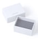 PEANUTS スヌーピー シルバー ペアリング（レディース単品）