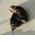 アビエイター キャップ