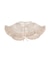fluffy border collar