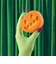 LUSH パンキン ナンキン バスボム 入浴剤 ハロウィン 数量限定 ギフト プレゼント カボチャ フルーティー 香り お風呂 保湿 癒やし コスメ ラッシュ 公式