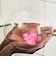LUSH スノーフェアリー シャワージェリー ボディソープ クリスマス 数量限定 ギフト プレゼント ゼリー状 スキンケア 保湿 ラッシュ 公式