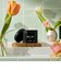 LUSH ローズジャム キャンドル 母の日 2026 限定 アロマ ローズ ゼラニウム レモン ヴィーガン コスメ ラッシュ 公式