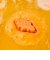 LUSH オータム リーフス ギフト ギフトセット 詰め合わせ プレゼント ハロウィン 数量限定 バスボム 入浴剤 お風呂 保湿 癒やし 贈り物 ラッシュ 公式