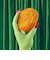 LUSH ぐるぐるパンプキン バブルバー 泡風呂 入浴剤 カボチャ フルーティー 香り ハロウィン 数量限定 ギフト プレゼント お風呂 保湿 癒やし ラッシュ 公式