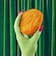 LUSH ぐるぐるパンプキン バブルバー 泡風呂 入浴剤 カボチャ フルーティー 香り ハロウィン 数量限定 ギフト プレゼント お風呂 保湿 癒やし ラッシュ 公式