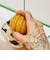 LUSH 秋の収穫 スクラビー ボディスクラブ カボチャ 保湿 角質ケア しっとり ハロウィン 数量限定 ギフト プレゼント スキンケア 甘い香り ラッシュ 公式