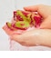 LUSH ロード オブ ミスルール ギフト ギフトセット 詰め合わせ プレゼント ハロウィン 数量限定 香水 ボディミスト スパイシー 香り 贈り物 ラッシュ 公式