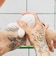 LUSH だいじょうぶつ シャワージェリー 200g ボディソープ ハロウィン 数量限定 ギフト プレゼント ゼリー状 スキンケア 保湿 洗体 香り 癒やし ラッシュ 公式