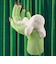 LUSH だいじょうぶつ シャワージェリー 200g ボディソープ ハロウィン 数量限定 ギフト プレゼント ゼリー状 スキンケア 保湿 洗体 香り 癒やし ラッシュ 公式