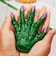 LUSH 魔女の手 シャワーガミー ボディソープ ハロウィン 数量限定 ギフト プレゼント ぷにぷに スキンケア 保湿 洗体 香り お風呂 癒やし ラッシュ 公式