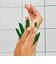 LUSH 魔女の手 シャワーガミー ボディソープ ハロウィン 数量限定 ギフト プレゼント ぷにぷに スキンケア 保湿 洗体 香り お風呂 癒やし ラッシュ 公式