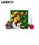 LUSH シーズン オブ ザ ウィッチ ギフト ギフトセット 詰め合わせ プレゼント ハロウィン 数量限定 バスボム 入浴剤 ボディケア お風呂 保湿 贅沢 ラッシュ 公式