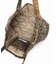 SITA PARANTICA/シータパランティカ TOTE-RPP-S LEOPARD M バッグ