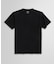 コットン ２パック クルーネック Tシャツ Made in USA