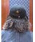 Brooks Brothers × New Era 9TWENTY