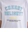 【デイリープライス】【綿100%】カレッジプリント半袖Tシャツ
