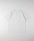 《選べる10色展開》HONEYSUCKLE ROSE(ハニーサックルローズ)アソートグラフィックＴシャツ