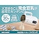 オークローンマーケティング　ショップジャパン 豆乳メーカー ソイリッチ [加熱:800ml、 攪拌:1000ml / 4枚刃] SOYWS01