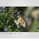 パナソニック　コンパクトデジタルカメラ LUMIX ブラック DCTX3K
