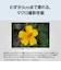 パナソニック　コンパクトデジタルカメラ LUMIX グラファイトシルバー DCTX3S