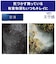 三菱電機　空清脱臭除湿機 美空感 コンプレッサー方式 30～61畳目安 タンク容量5.5L ホワイト MJPHDV24ZXW