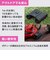 ニコン　SPORTSTAR EX II 8x25 ［8倍］ SPEX28X