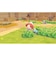 ポケモン　Switch2ゲームソフト ぽこ あ ポケモン ﾎﾟｺｱﾎﾟｹﾓﾝ<br>★こちらの商品は人気商品のため、色違い・仕様違い等含め「一家族１台限り」でのご協力をお願いしております。