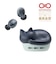 ラディウス　完全ワイヤレスイヤホン NEKO 猫 クロ [ ワイヤレス ( 左右分離 ) / Bluetooth 対応 ]  HPC28BTK