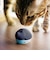 ラディウス　完全ワイヤレスイヤホン NEKO 猫 クロ [ ワイヤレス ( 左右分離 ) / Bluetooth 対応 ]  HPC28BTK