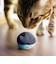ラディウス　完全ワイヤレスイヤホン NEKO 猫 クロ [ ワイヤレス ( 左右分離 ) / Bluetooth 対応 ]  HPC28BTK