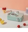 TTS　Dr.HOWS カセットコンロ Twinkle Mini Stove（トゥインクルミニストーブ） Pistachio 007382