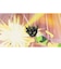 ブシロード　Switchゲームソフト HUNTER×HUNTER NEN×IMPACT 通常版 ﾊﾝﾀｰﾊﾝﾀｰﾈﾝﾂｳｼﾞｮｳ<br>★こちらの商品は人気商品のため、色違い・仕様違い等含め「一家族１台限り」でのご協力をお願いしております。
