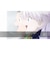 ブシロード　Switchゲームソフト HUNTER×HUNTER NEN×IMPACT 通常版 ﾊﾝﾀｰﾊﾝﾀｰﾈﾝﾂｳｼﾞｮｳ<br>★こちらの商品は人気商品のため、色違い・仕様違い等含め「一家族１台限り」でのご協力をお願いしております。
