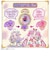 バンダイ　名探偵プリキュア！ ジュエルキュアウォッチ＆プリキットミラールーペセット ｼﾞｭｴﾙｷｭｱｳｫｯﾁ&ﾙｰﾍﾟｾｯﾄ