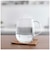 ORIGINALBASIC　電気ケトル 温度調節ケトル 白湯里 さゆり 0.8L OBSYK08