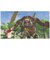 任天堂　Switchゲームソフト ゼルダの伝説 ブレス オブ ザ ワイルド ｾﾞﾙﾀﾞﾉﾃﾞﾝｾﾂﾌﾞﾚｽｵﾌﾞｻﾞ<br>★こちらの商品は人気商品のため、色違い・仕様違い等含め「一家族１台限り」でのご協力をお願いしております。