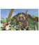 任天堂　Switchゲームソフト ゼルダの伝説 ブレス オブ ザ ワイルド ｾﾞﾙﾀﾞﾉﾃﾞﾝｾﾂﾌﾞﾚｽｵﾌﾞｻﾞ<br>★こちらの商品は人気商品のため、色違い・仕様違い等含め「一家族１台限り」でのご協力をお願いしております。