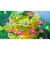 任天堂　Switchゲームソフト マリオ＆ルイージRPG ブラザーシップ！ ﾏﾘｵ&ﾙｲｰｼﾞRPGﾌﾞﾗｻﾞｰｼｯ<br>★こちらの商品は人気商品のため、色違い・仕様違い等含め「一家族１台限り」でのご協力をお願いしております。