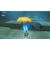 任天堂　Switch2ゲームソフト ゼルダの伝説 ブレス オブ ザ ワイルド Nintendo Switch 2 Edition ｾﾞﾙﾀﾞﾉﾃﾞﾝｾﾂBOW2ED<br>★こちらの商品は人気商品のため、色違い・仕様違い等含め「一家族１台限り」でのご協力をお願いしております。