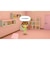 任天堂　Switchゲームソフト トモダチコレクション わくわく生活 ﾄﾓﾀﾞﾁｺﾚｸｼｮﾝﾜｸﾜｸｾｲｶﾂ<br>★こちらの商品は人気商品のため、色違い・仕様違い等含め「一家族１台限り」でのご協力をお願いしております。