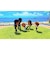 任天堂　Switchゲームソフト トモダチコレクション わくわく生活 ﾄﾓﾀﾞﾁｺﾚｸｼｮﾝﾜｸﾜｸｾｲｶﾂ<br>★こちらの商品は人気商品のため、色違い・仕様違い等含め「一家族１台限り」でのご協力をお願いしております。