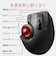 エレコム　マウス トラックボール EX-G PRO [光学式 /無線(ワイヤレス) /8ボタン /USB] ブラック MXPT1MRXBK