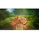 スクウェア・エニックス　Switchゲームソフト ドラゴンクエストI＆II ﾄﾞﾗｺﾞﾝｸｴｽﾄI&II<br>★こちらの商品は人気商品のため、色違い・仕様違い等含め「一家族１台限り」でのご協力をお願いしております。