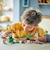 レゴジャパン　LEGO（レゴ） 71440 スーパーマリオ ルイージとぼうけん！ 71440ﾚｺﾞﾙｲｰｼﾞﾄﾎﾞｳｹﾝ