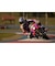 PLAION　Switchゲームソフト MotoGP 25 ﾓﾄ ｼﾞｰﾋﾟｰ ﾄｩｳｪﾝﾃｨﾌｧｲﾌﾞ<br>★こちらの商品は人気商品のため、色違い・仕様違い等含め「一家族１台限り」でのご協力をお願いしております。