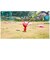 任天堂　Switchゲームソフト Pikmin 4（ピクミン4）  Pikmin4<br>★こちらの商品は人気商品のため、色違い・仕様違い等含め「一家族１台限り」でのご協力をお願いしております。