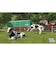 GIANTSSOFTWARE　Switch2ゲームソフト Farming Simulator ： Signature Edition ﾐﾃｲ<br>★こちらの商品は人気商品のため、色違い・仕様違い等含め「一家族１台限り」でのご協力をお願いしております。