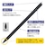 ナカバヤシ　iPad専用充電式タッチペン 軽量タイプ TPEN004BK